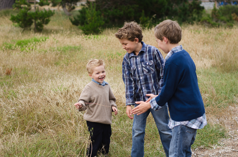 Three brothers playing in blue and beige tall grass portraits
