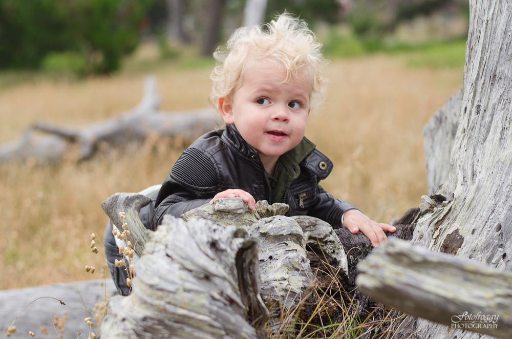 Cute little boy with blonde curly hair playing on driftwood
