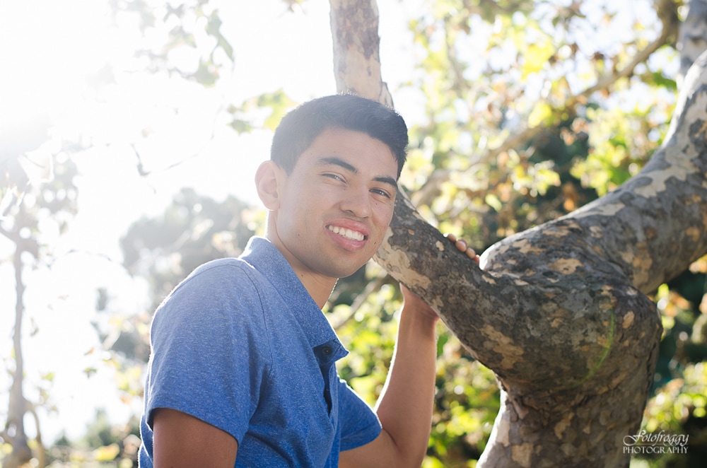 Senior portraits teen boy sitting in trees with bright sky.